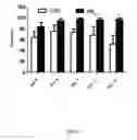 Fig. 09 - Treatment of diabetic nerve injury comprising administering plasminogen