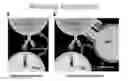 Fig. 01 - Antigen-specific T cells for inducing immune tolerance