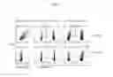 Fig. 06 - Antigen-specific T cells for inducing immune tolerance