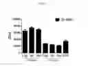 Fig. 07 - Antigen-specific T cells for inducing immune tolerance