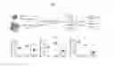 Fig. 09 - Antigen-specific T cells for inducing immune tolerance