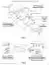 Fig. 02 - Naturally-occurring CpG oligonucleotide compositions and therapeutic applications thereof