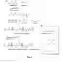 Fig. 02 - Biodegradable poly(ester amide) elastomers and uses therefor