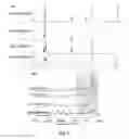 Fig. 06 - Biodegradable poly(ester amide) elastomers and uses therefor