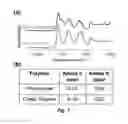 Fig. 09 - Biodegradable poly(ester amide) elastomers and uses therefor