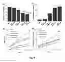 Fig. 13 - Biodegradable poly(ester amide) elastomers and uses therefor
