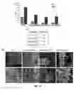 Fig. 17 - Biodegradable poly(ester amide) elastomers and uses therefor
