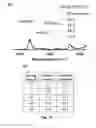 Fig. 25 - Biodegradable poly(ester amide) elastomers and uses therefor