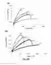 Fig. 26 - Biodegradable poly(ester amide) elastomers and uses therefor