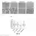 Fig. 29 - Biodegradable poly(ester amide) elastomers and uses therefor