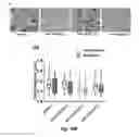 Fig. 35 - Biodegradable poly(ester amide) elastomers and uses therefor