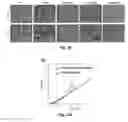 Fig. 37 - Biodegradable poly(ester amide) elastomers and uses therefor