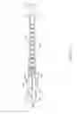 Fig. 06 - Safety syringe and needle shield
