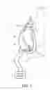 Fig. 02 - Customized mask with rigid support