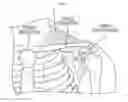 Fig. 04 - Methods and devices for inhibiting nerves when activating brown adipose tissue