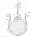Fig. 01 - High frequency stimulation of the spinal cord from inside the dura