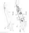 Fig. 04 - Virtual reality simulation of a live-action sequence