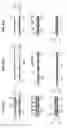 Fig. 09 - Diphasic gas/liquid plasma reactor