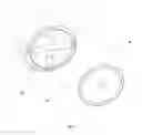 Fig. 07 - SMALL FOOD CUTTING AND BLENDING DEVICE
