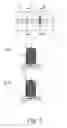 Fig. 06 - SPREADING UNIT