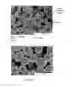 Fig. 06 - Powder particles comprising thermoplastic resin particles and process for producing green body using the same