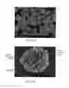 Fig. 07 - Powder particles comprising thermoplastic resin particles and process for producing green body using the same