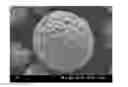 Fig. 01 - Additive manufacturing material for powder rapid prototyping manufacturing