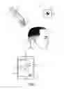 Fig. 02 - Haircut recording device, method and system