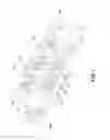 Fig. 02 - SLITTER