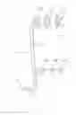 Fig. 03 - Crown fork supported bicycle carrier