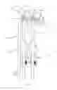 Fig. 07 - Crown fork supported bicycle carrier