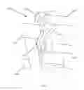 Fig. 18 - Crown fork supported bicycle carrier