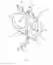 Fig. 19 - Crown fork supported bicycle carrier