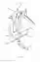 Fig. 20 - Crown fork supported bicycle carrier