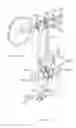 Fig. 23 - Crown fork supported bicycle carrier