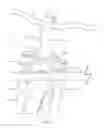 Fig. 27 - Crown fork supported bicycle carrier