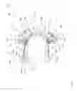 Fig. 15 - Multiple-sprocket arrangement for a bicycle gearing