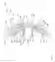 Fig. 19 - Multiple-sprocket arrangement for a bicycle gearing