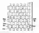 Fig. 01 - Extensible paper and its use in the production of expanded slit packaging and void fill products