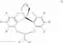 Fig. 76 - Compound having chiral spirobiindane skeleton and preparation method therefor