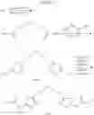 Fig. 205 - Glutaminase inhibitors and method of use