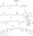 Fig. 210 - Glutaminase inhibitors and method of use