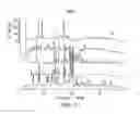 Fig. 02 - Solid Oral Formulations and Crystalline Forms of an Inhibitor of Apoptosis Protein