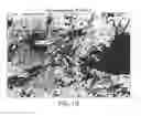 Fig. 17 - Solid Oral Formulations and Crystalline Forms of an Inhibitor of Apoptosis Protein
