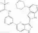 Fig. 183 - 3-(1H-pyrrolo[2,3-C]pyridin-2-yl)-1 H-pyrazolo[4,3-B]pyridines and therapeutic uses thereof