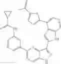 Fig. 447 - 3-(1H-pyrrolo[2,3-C]pyridin-2-yl)-1 H-pyrazolo[4,3-B]pyridines and therapeutic uses thereof