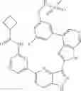 Fig. 504 - 3-(1H-pyrrolo[2,3-C]pyridin-2-yl)-1 H-pyrazolo[4,3-B]pyridines and therapeutic uses thereof