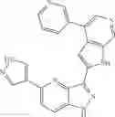 Fig. 562 - 3-(1H-pyrrolo[2,3-C]pyridin-2-yl)-1 H-pyrazolo[4,3-B]pyridines and therapeutic uses thereof