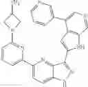 Fig. 565 - 3-(1H-pyrrolo[2,3-C]pyridin-2-yl)-1 H-pyrazolo[4,3-B]pyridines and therapeutic uses thereof