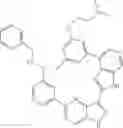 Fig. 822 - 3-(1H-pyrrolo[2,3-C]pyridin-2-yl)-1 H-pyrazolo[4,3-B]pyridines and therapeutic uses thereof